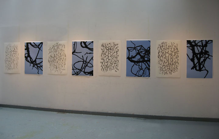 Banff Installation