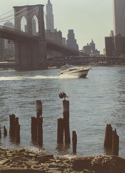 Florence Neal-Brooklyn Bridge Bird_Empire-Fulton Ferry State Park