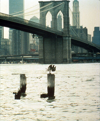 Florence Neal_Brooklyn Bridge Bird